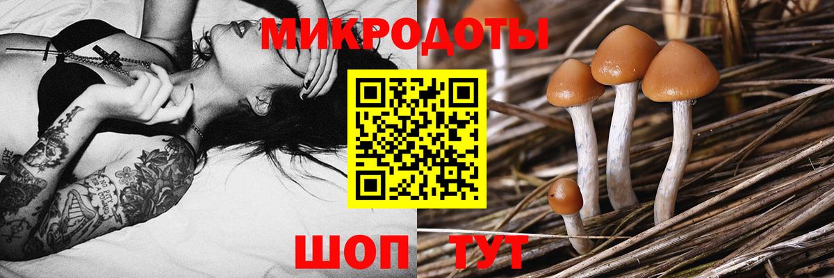 Псилоцибиновые грибы мухоморы Лысьва