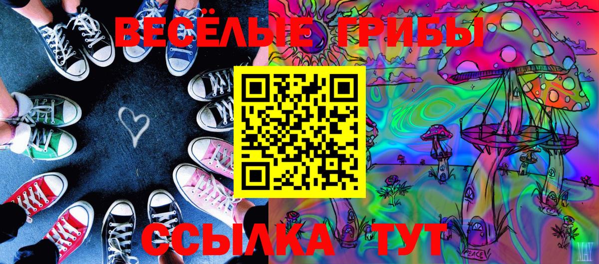 купить наркотик  Галлюциногенные грибы Cubensis  Вход с VPN  Лысьва 